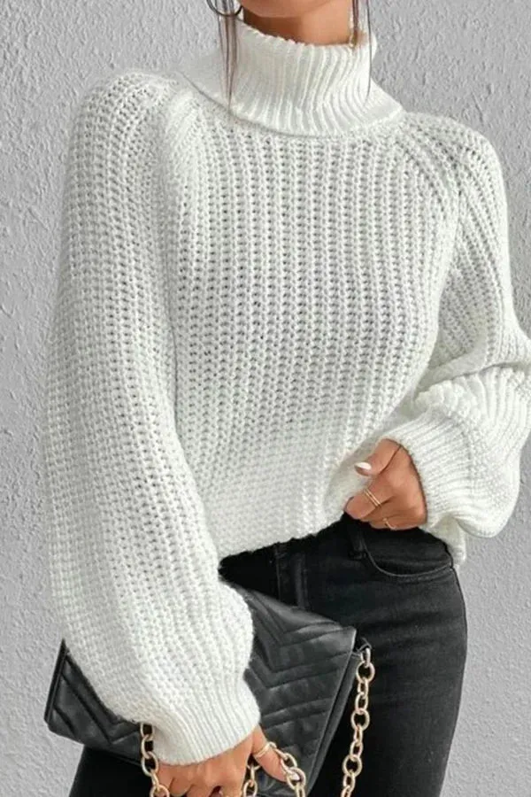 Ivyshape | Beautiful Sweater Turtleneck Sweater